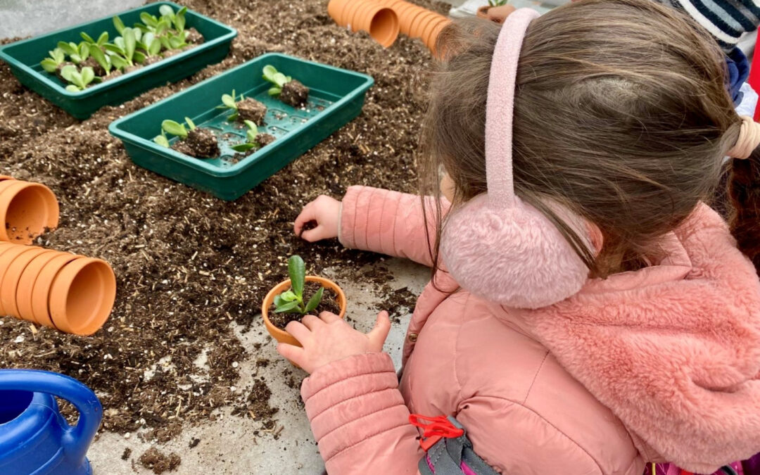 EST1-Kinder machen einen Ausflug in den Palmengarten